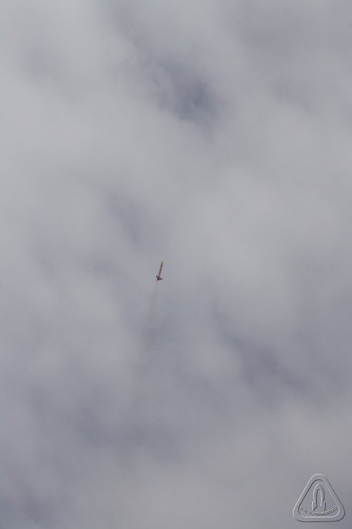 2013 Svojek Mirek Topinka